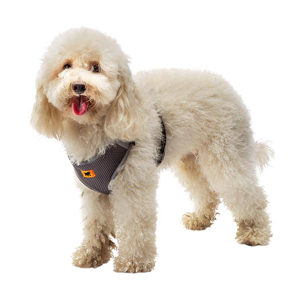 Ferplast - Ferplast Harnais Petit Chien NIKITA S, Harnais pour Chien Respirant, Rembourré et Ajustable, Facile à Porter, Bords Réfléchissants, Poitrine 30-41 cm. - Imagen 4