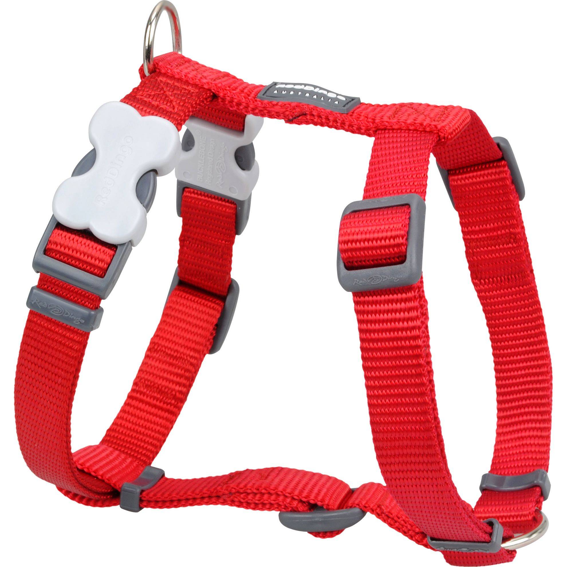 Harnais chien réglable Red Dingo Basic rouge Taille : T4 RED DINGO