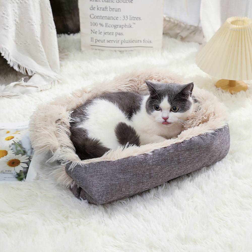 Griffeuse murale pour chat en silicone, 29x29 cm, ventouses, protège les meubles Lytech - Image 3