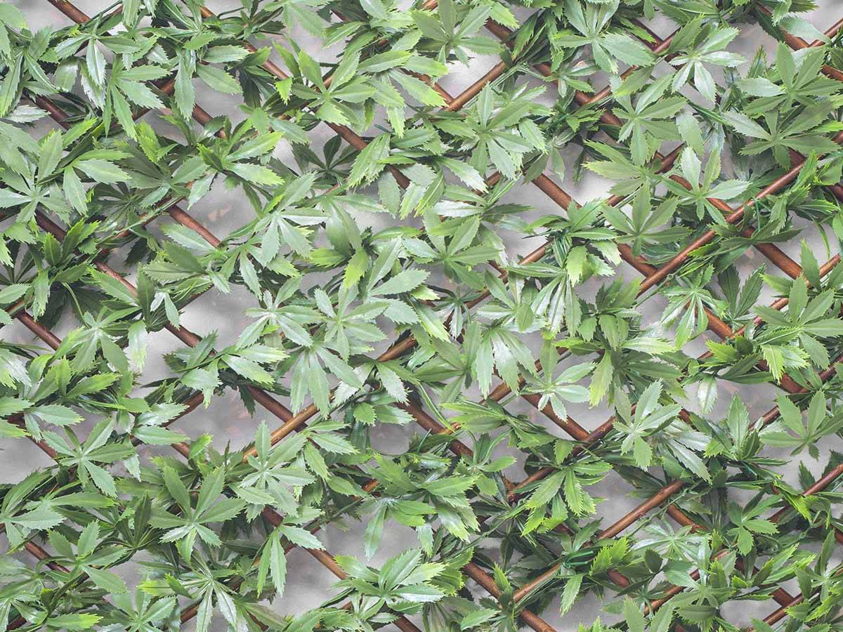 Jardideco - Treillis extensible Feuilles de Vigne Vierge 2 m (2 treillis de 1 x 2 m) - Jardideco - Imagen 2