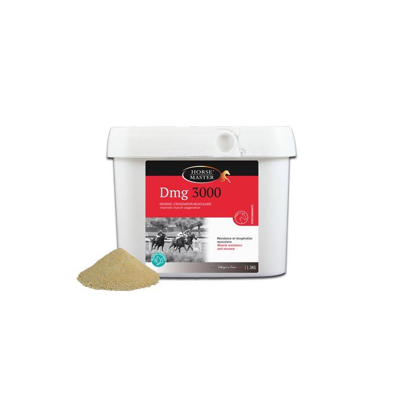 DMG 3000 - HORSE MASTER 1,3 kg