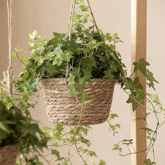 Panier Suspendu en Jute Naturel - Style Scandinave - Multifonction Intérieur/Extérieur - Image 4