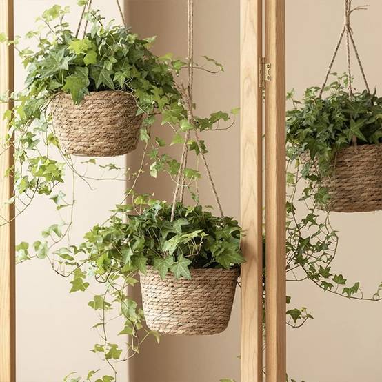 Panier Suspendu en Jute Naturel - Style Scandinave - Multifonction Intérieur/Extérieur - Image 6