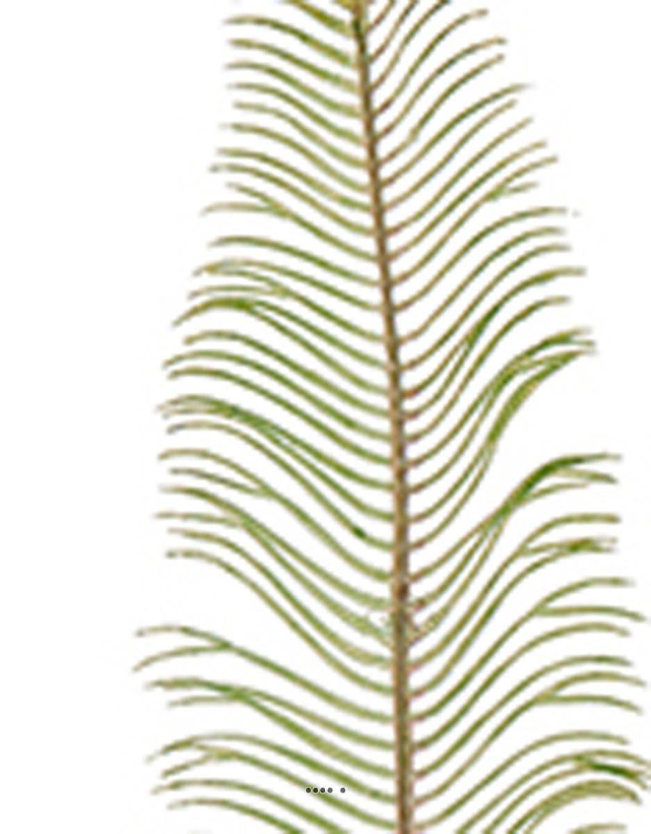 Artificielles - Petite feuille de fougère artificielle L 48 cm Vert - Imagen 2