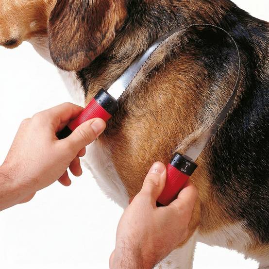Ferplast - Ferplast Peigne Etrille pour chiens GRO 5954, Lame à double dents, Idéal pour les animaux à poils courts, 28,5 x 6,5 x h 3,4 cm - Image 4