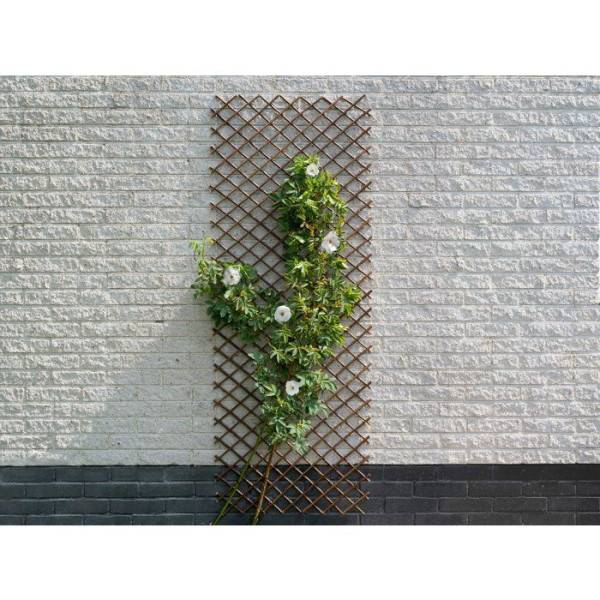 Treillis extensible - NATURE - En osier FSC naturel - 60 x 180 cm - Image 3