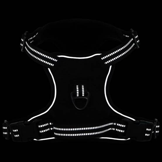 Kit Harnais Chien Anti-Traction Polyester Réglable avec Laisse et Collier Noir L – ComfortXL Pet Living - Image 3