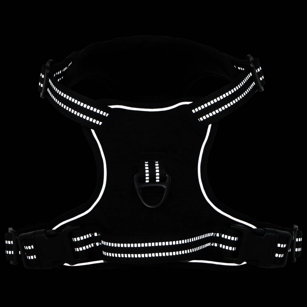 Kit Harnais Chien Anti-Traction Polyester Réglable avec Laisse et Collier Noir L – ComfortXL Pet Living - Image 3