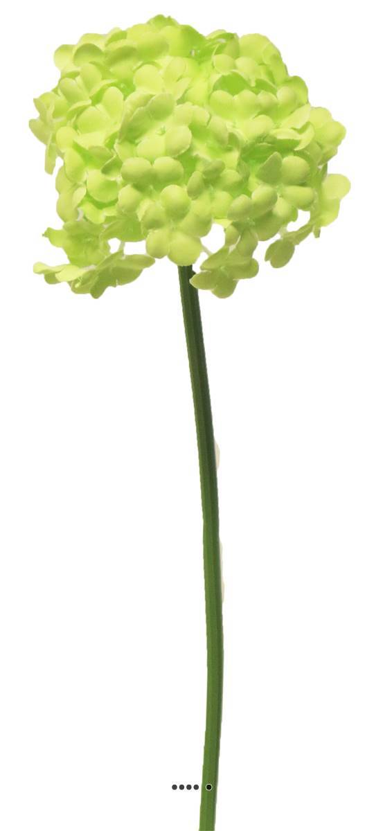 Artificielles - Fleurs de Viorne artificielles en tige, H 30 cm Vert - BEST - couleur: Vert - Imagen 2