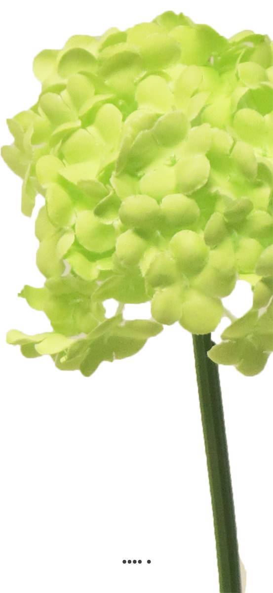 Artificielles - Fleurs de Viorne artificielles en tige, H 30 cm Vert - BEST - couleur: Vert - Imagen 3
