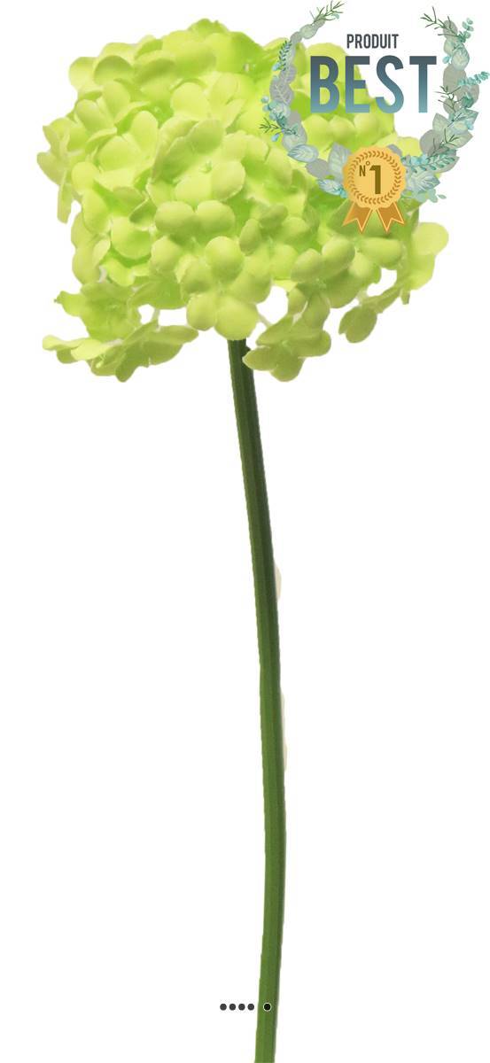Artificielles - Fleurs de Viorne artificielles en tige, H 30 cm Vert - BEST - couleur: Vert - Imagen 1