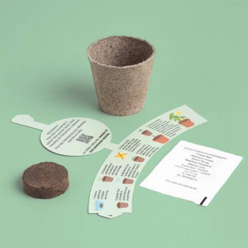 Kit de culture premières récoltes - Fraises - Imagen 1