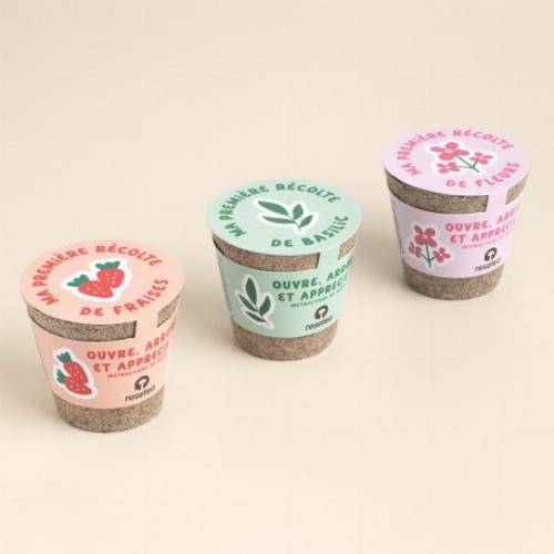 Kit de culture premières récoltes - Fraises - Imagen 2