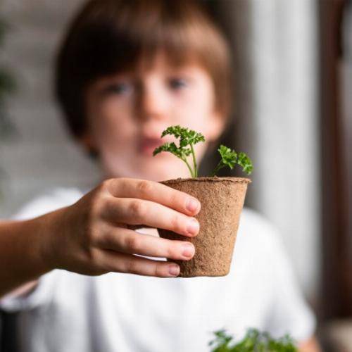 Kit de culture premières récoltes - Fraises - Imagen 3