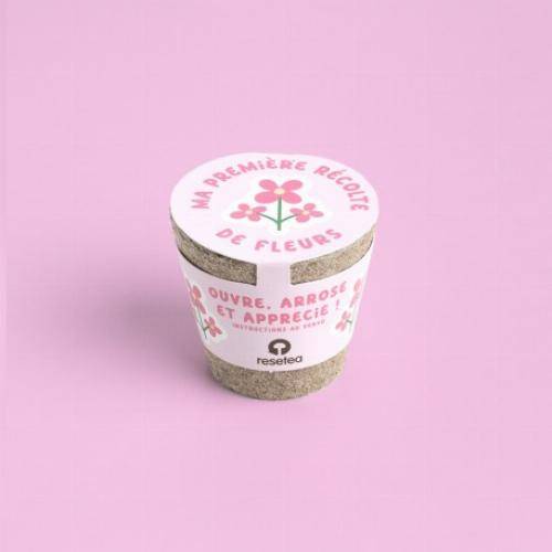 Kit de culture premières récoltes - Fraises - Imagen 5
