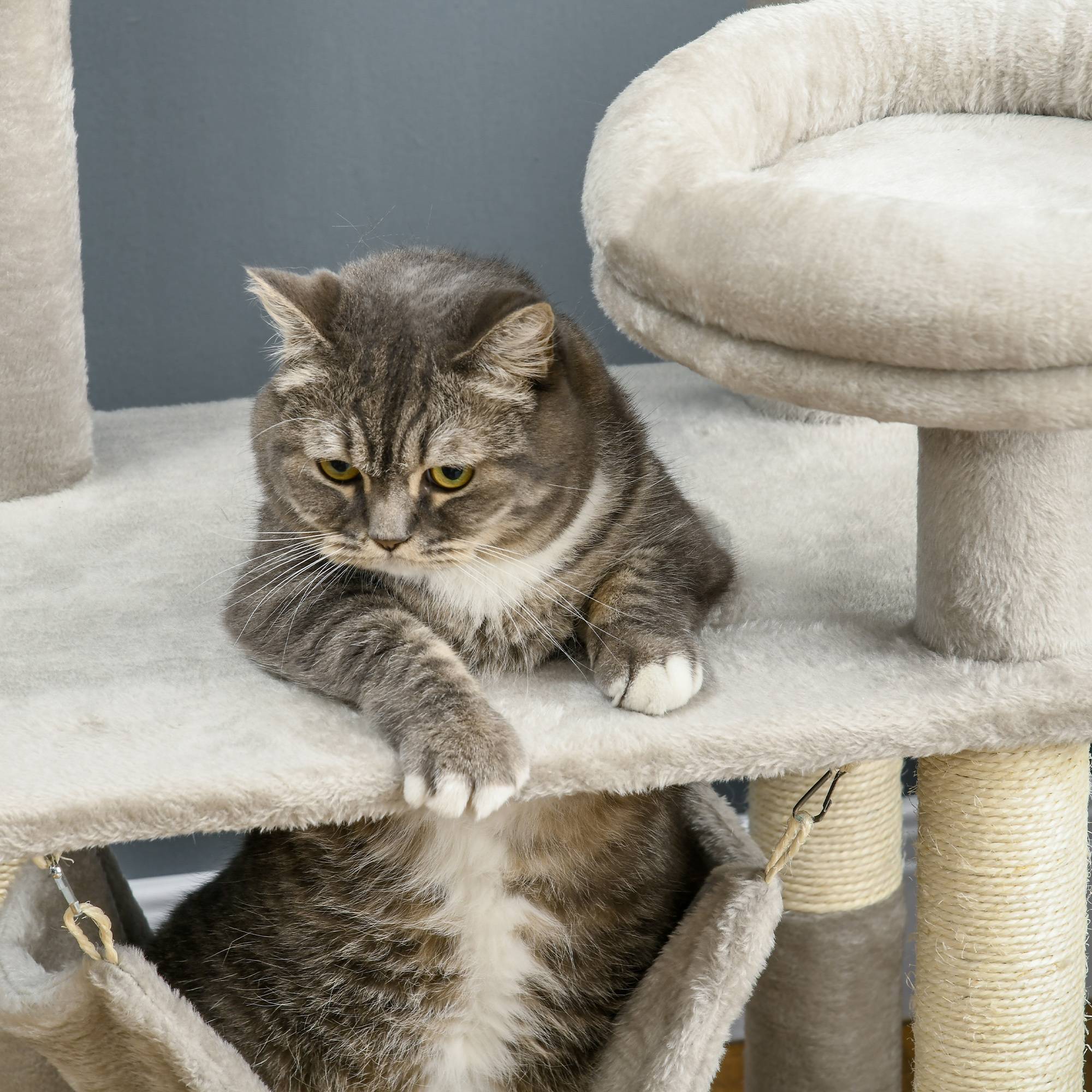 Pawhut - Arbre à chat griffoirs sisal naturel plateforme panier hamac boules suspendues et à ressort peluche gris clair - Imagen 9