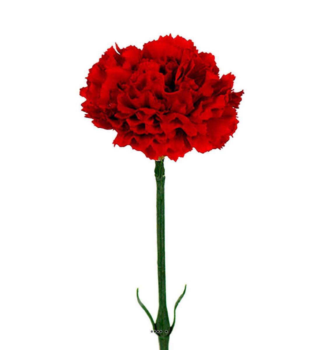 Artificielles - Oeillet artificiel H 55 cm superbe tête tissu D 8,50 cm Rouge - couleur: Rouge - Imagen 1
