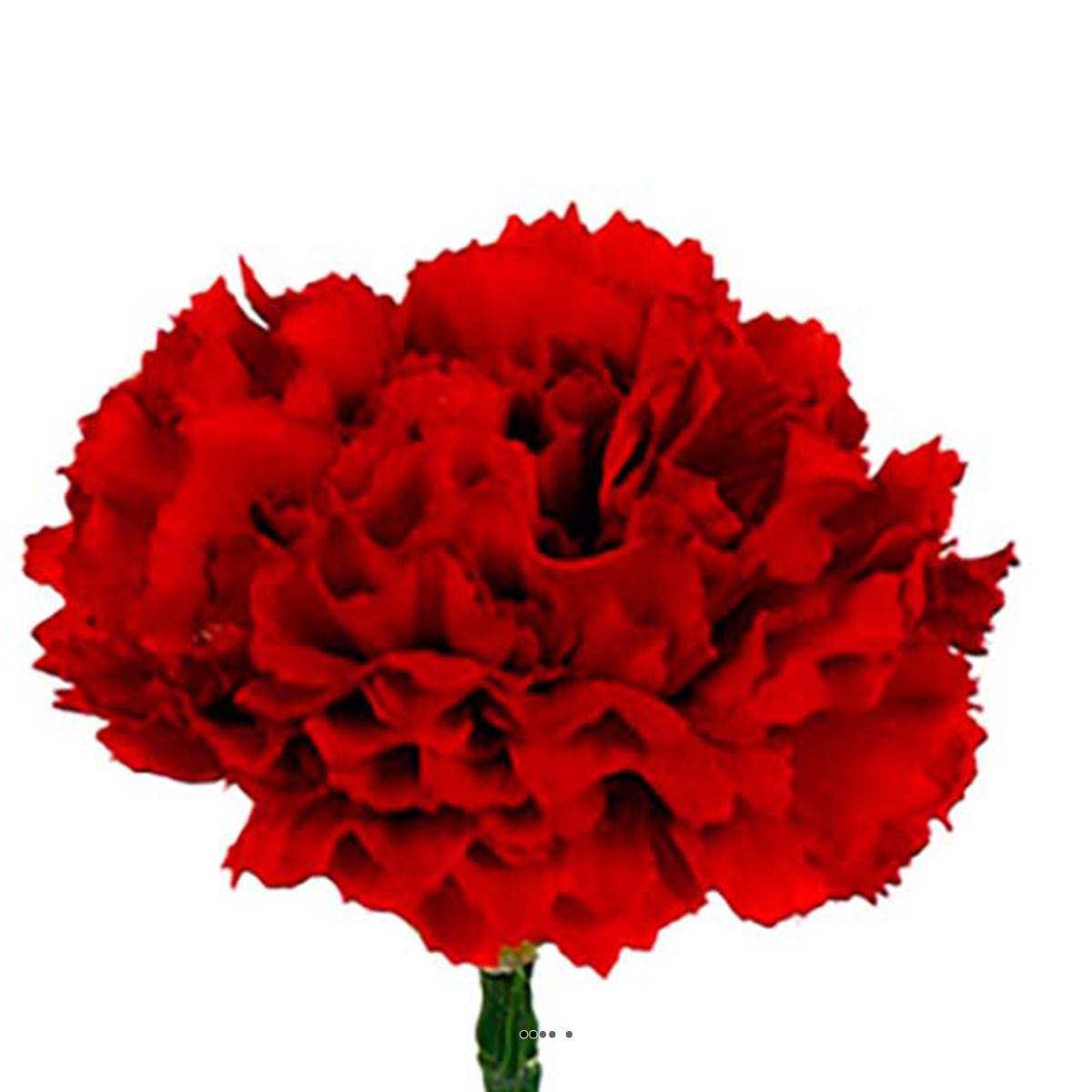 Artificielles - Oeillet artificiel H 55 cm superbe tête tissu D 8,50 cm Rouge - couleur: Rouge - Imagen 3
