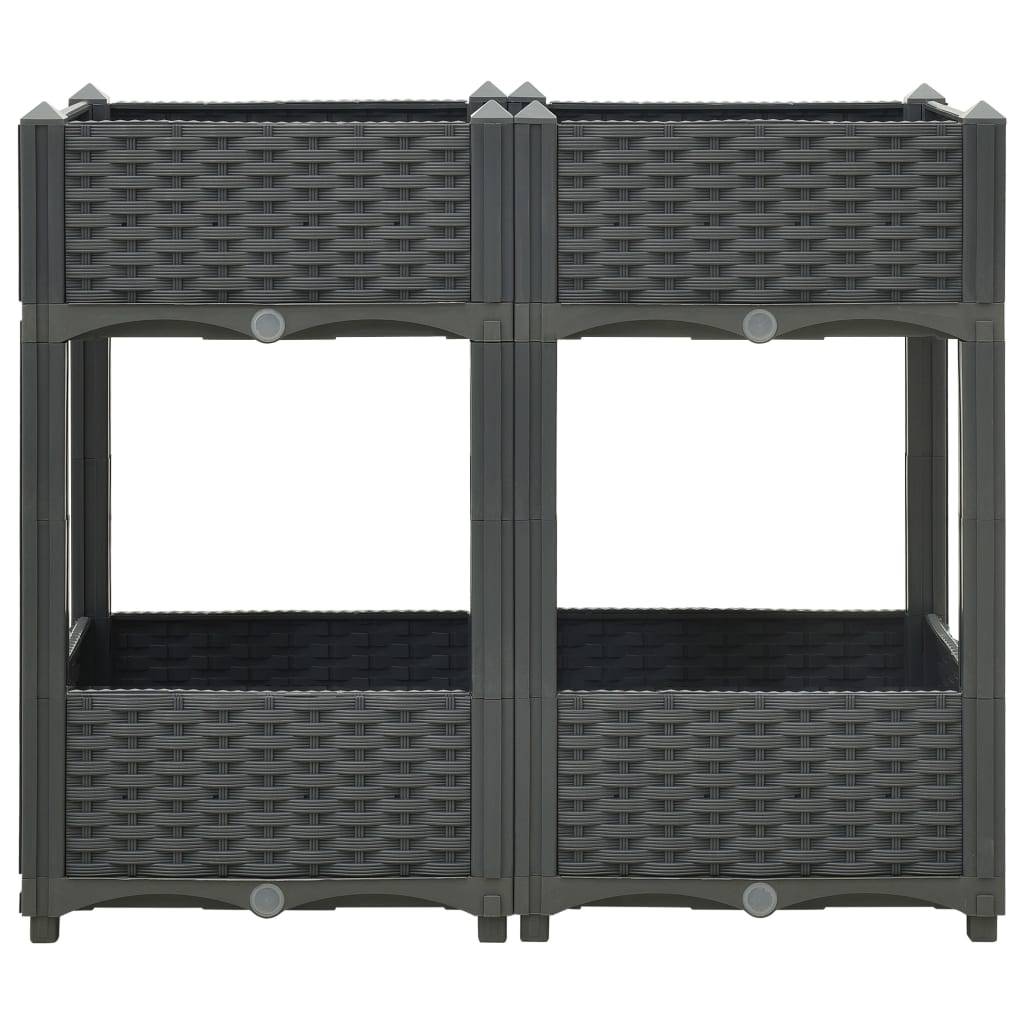 Helloshop26 - Jardinière lit surélevé plantes fleurs jardin80 x 40 x 71 cm polypropylène gris foncé - Imagen 2