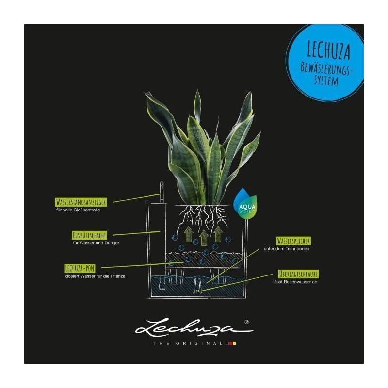 Lechuza - Pot De Fleur Lechuza Cube Cottage 50 - Kit Complet, Noir Graphite - Imagen 4