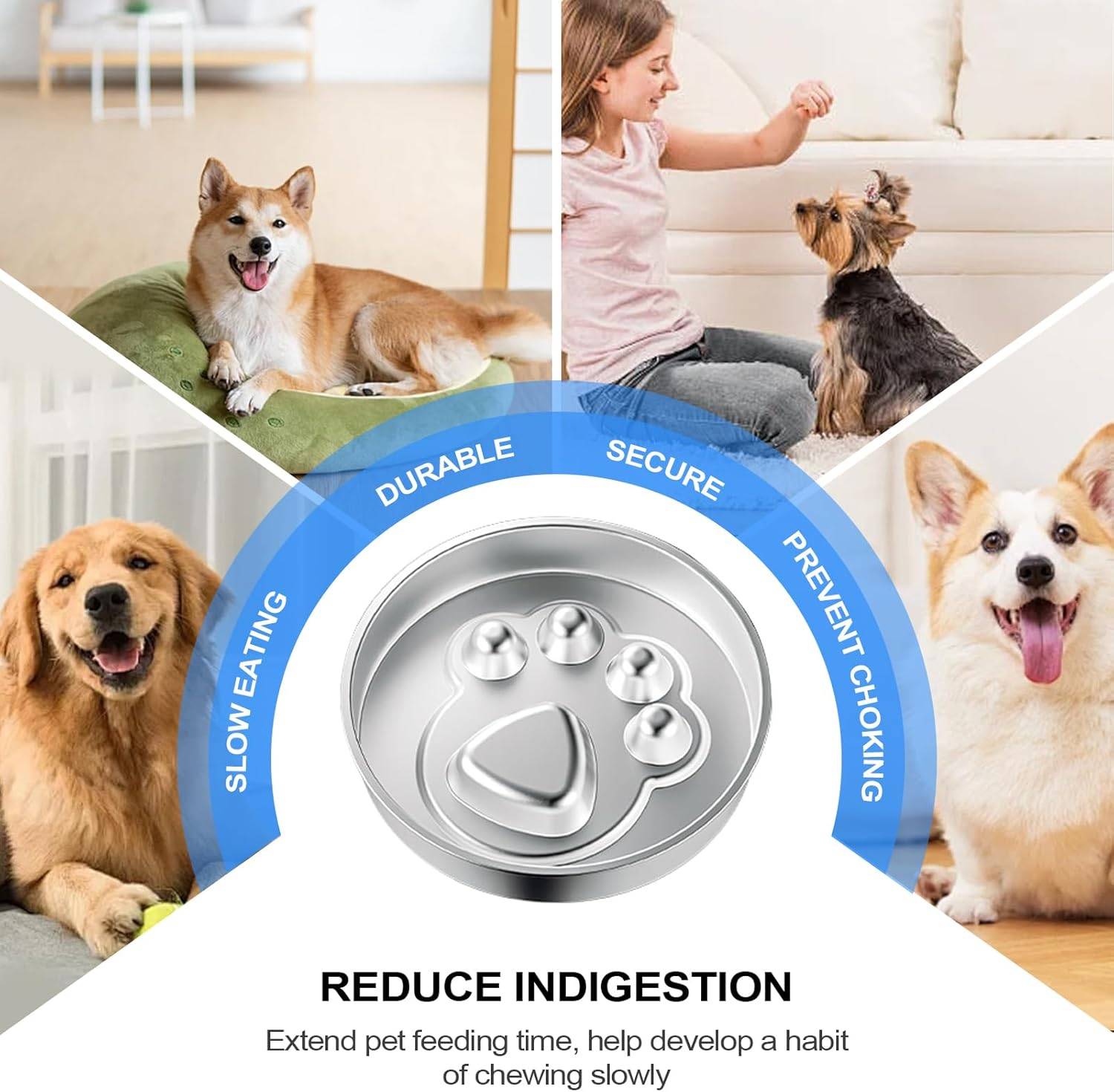 DtopbuyAge - Gamelle Anti-Glouton pour Chien - INOX Antidérapant DtopbuyAge - Image 4