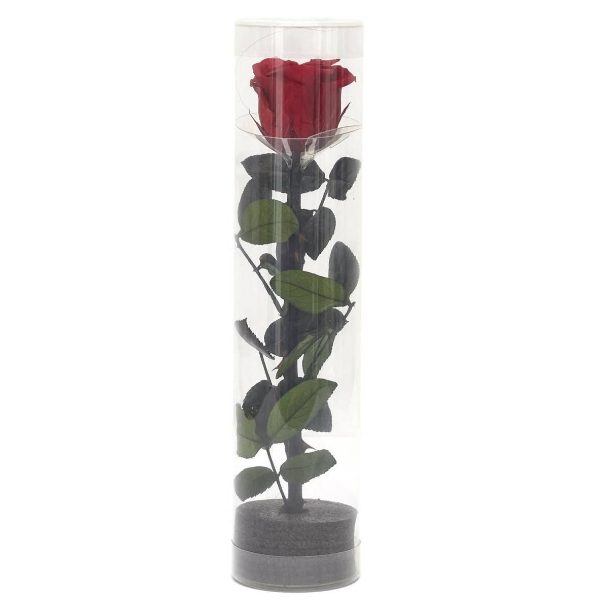 The Home Deco Factory - Fleur Artificielle "Rose sur Tige" 30cm Vert & Rouge - Image 2