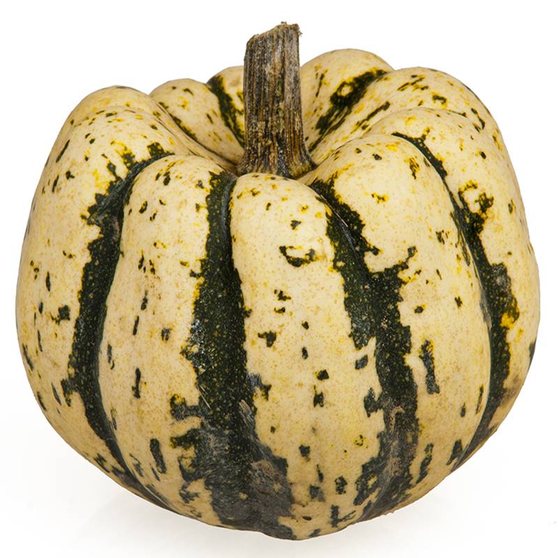 Courge Sweet Dumpling - Cucurbita pepo - Patidou le sachet de 25 graines environ (2g)
