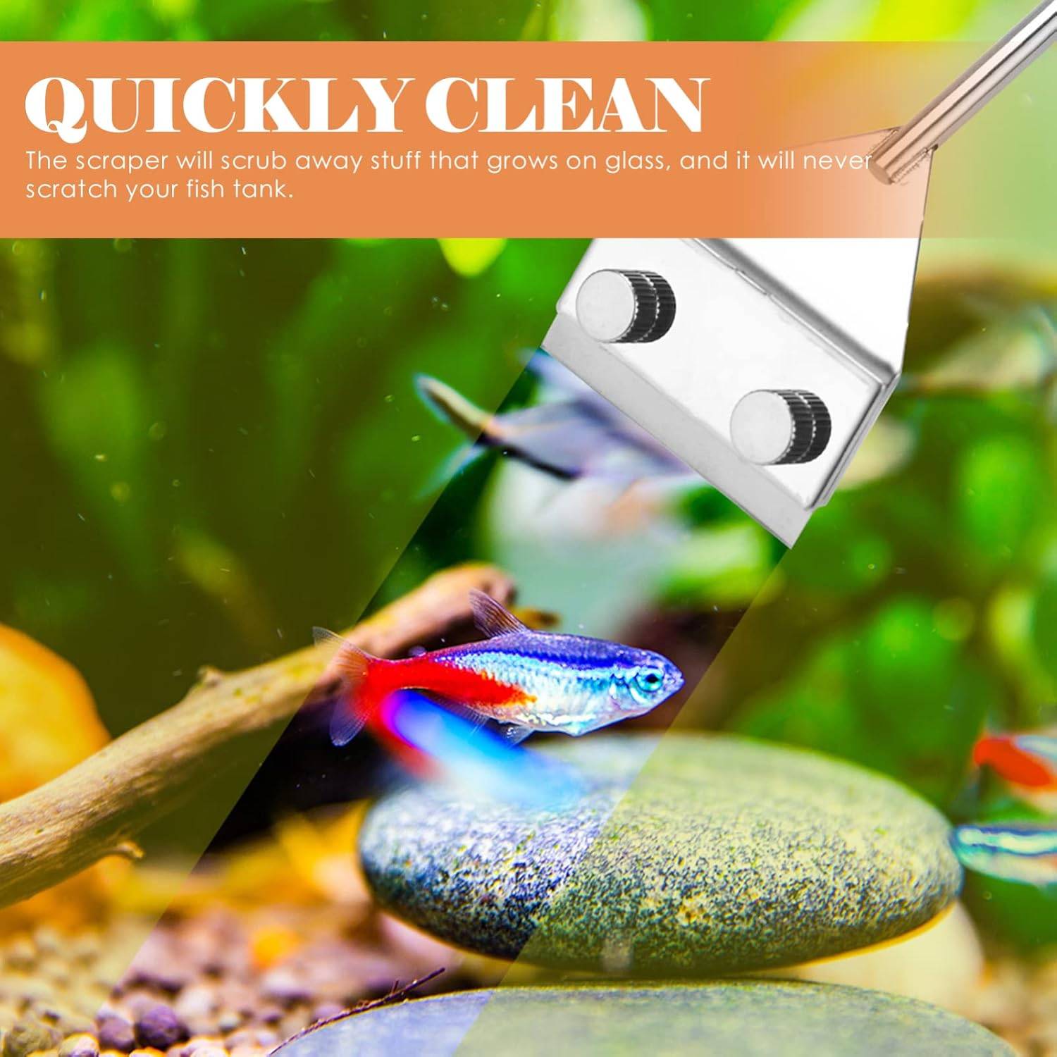 Grattoir à Algues pour Aquarium - Long Manche Antidérapant DtopbuyAge - Image 4