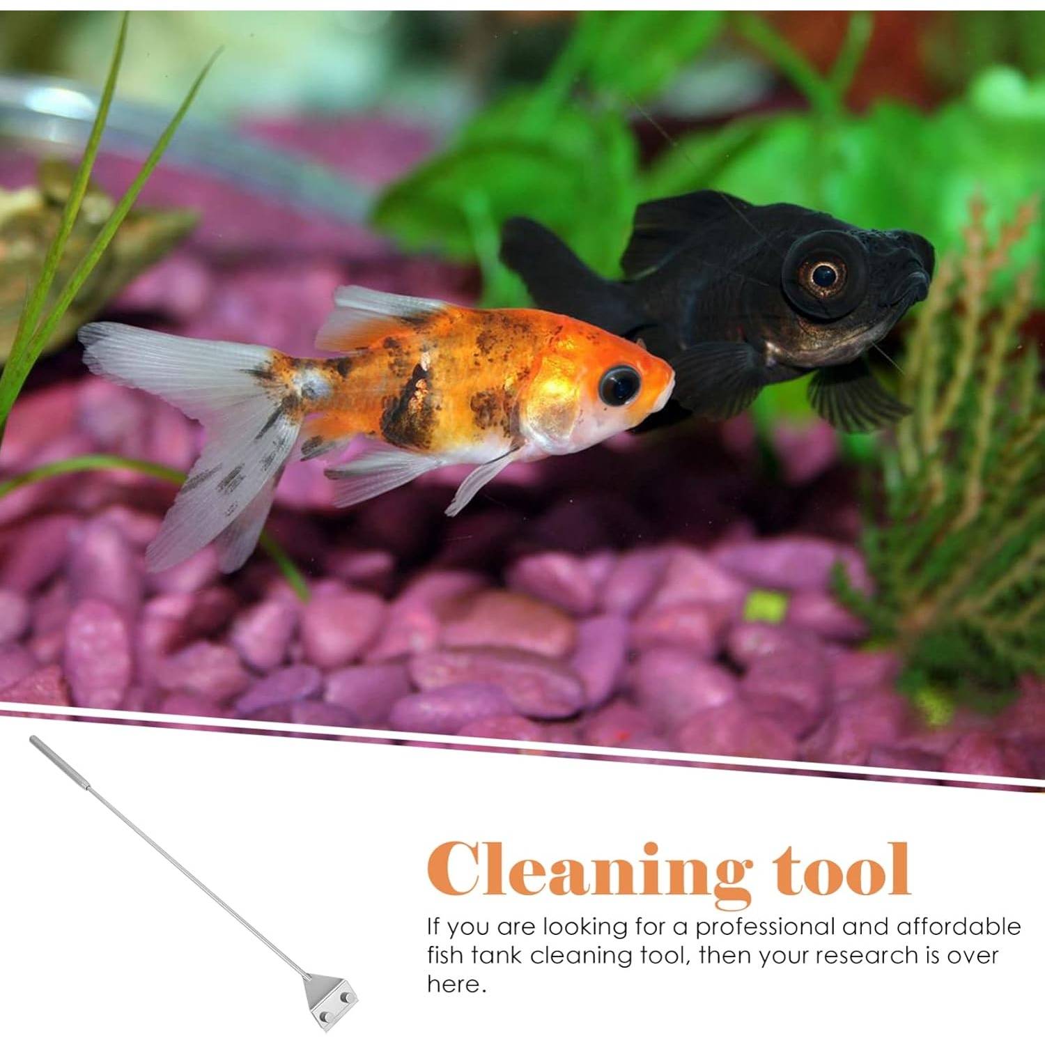 Grattoir à Algues pour Aquarium - Long Manche Antidérapant DtopbuyAge - Image 2