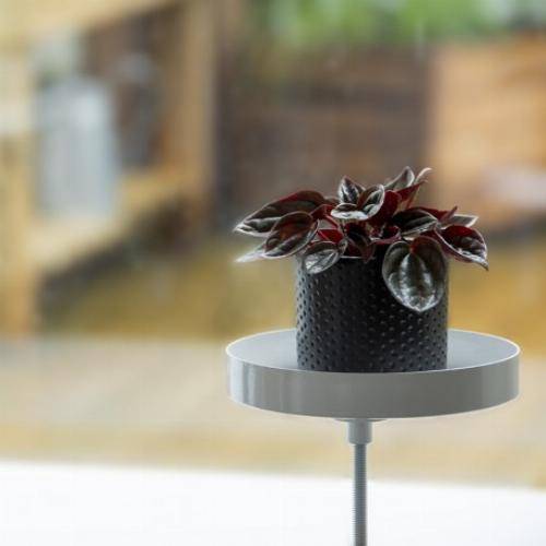 Esschert Design - Support de plantes pour rebord de fenêtre - Blanc - S - Image 3