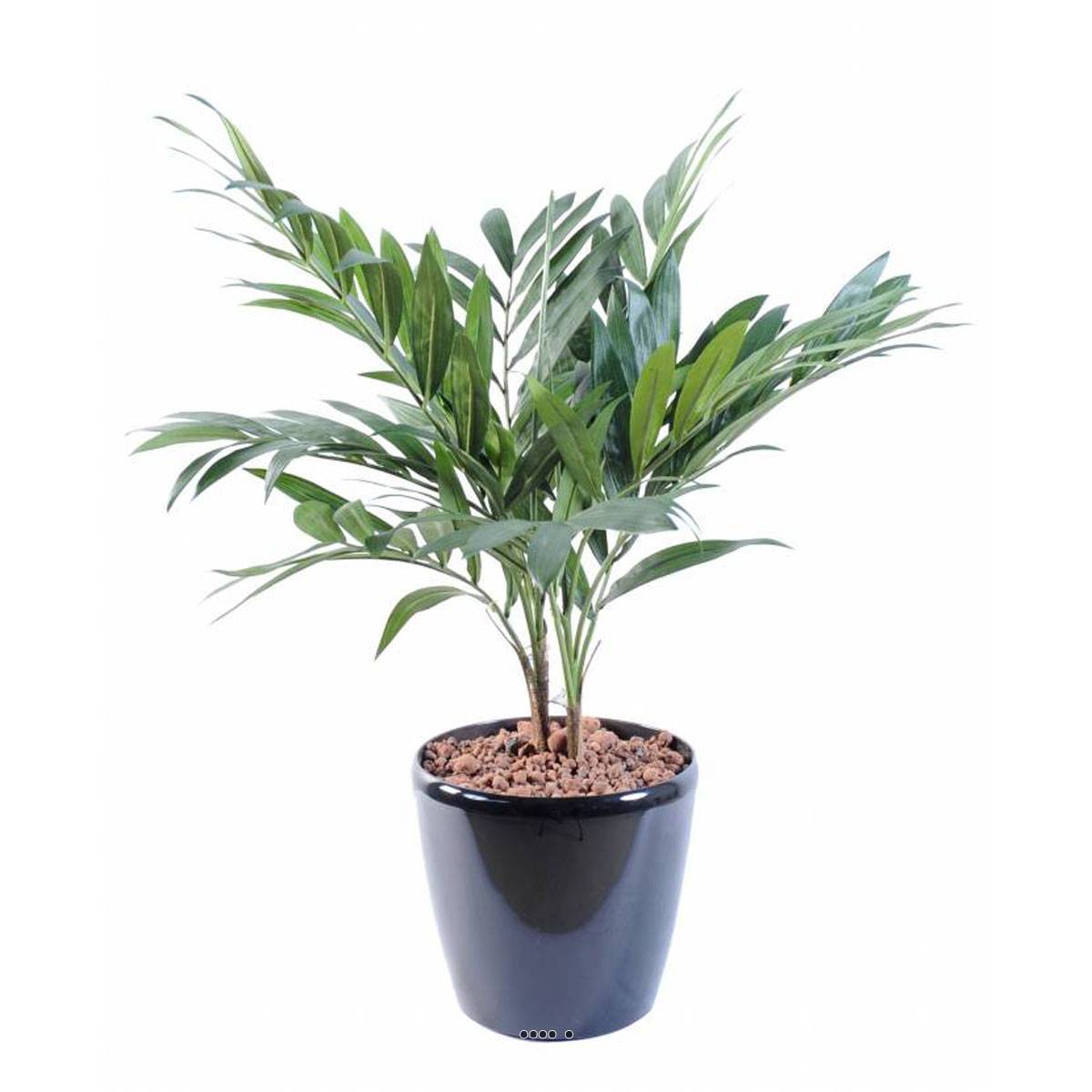 Artificielles - Palmier Parlour Artificiel H 65 cm D 55 cm 2 troncs en pot