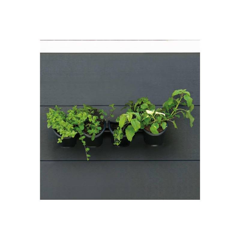 Nature - Jardiniere Murale - Kit Mural Composé D'un Support Mural Et De 4 Pots (1 L) - Noir - Dim H 15 X L 60 Cm - Nature - Imagen 1