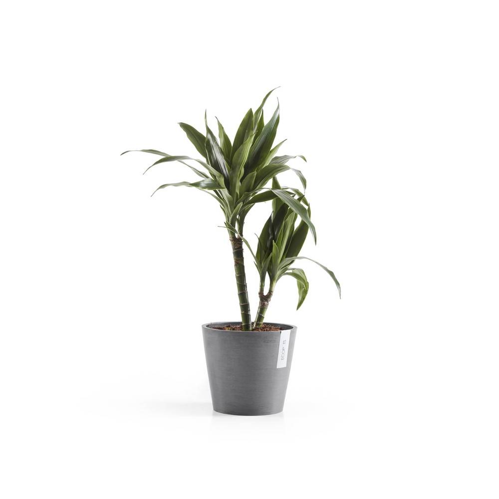 Ecopots - Pot Rond Amsterdam 20 Gris + réservoir d'eau - Ø 20 x H. 17,5 cm - 4 L ECOPOTS - Imagen 2