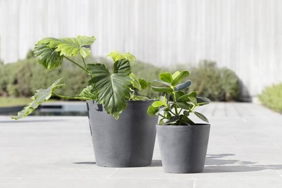 Ecopots - Pot Rond Amsterdam 20 Gris + réservoir d'eau - Ø 20 x H. 17,5 cm - 4 L ECOPOTS - Imagen 5