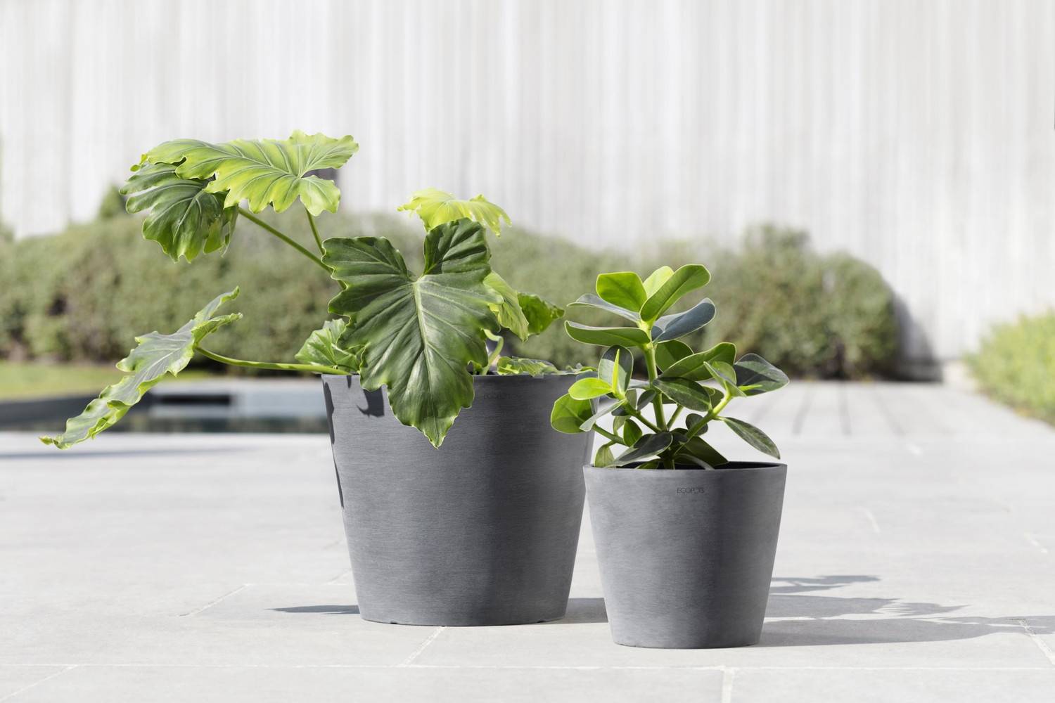 Ecopots - Pot Rond Amsterdam 20 Gris + réservoir d'eau - Ø 20 x H. 17,5 cm - 4 L ECOPOTS - Imagen 5
