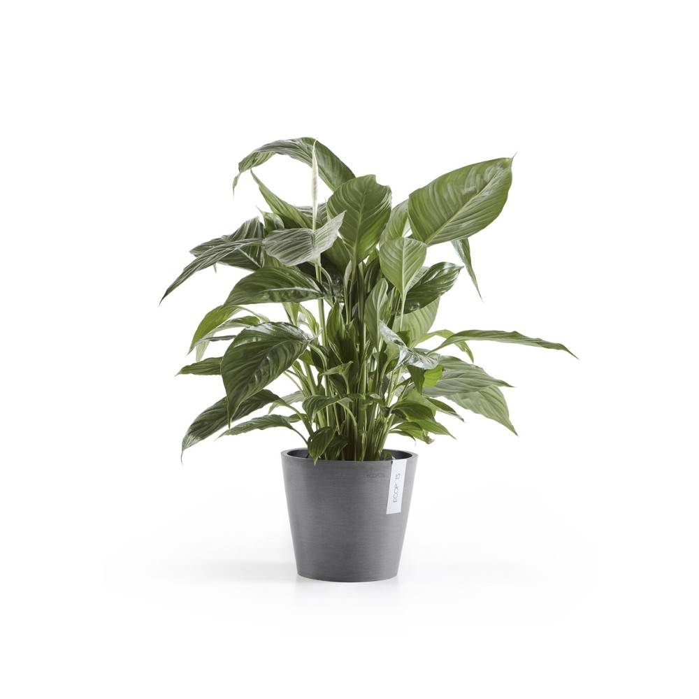 Ecopots - Pot Rond Amsterdam 20 Gris + réservoir d'eau - Ø 20 x H. 17,5 cm - 4 L ECOPOTS - Imagen 1