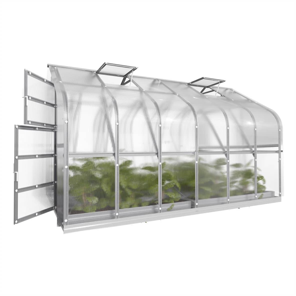 KLASIKA GREENHOUSES - Serre KLASIKA Standard 10m2, 2,5m x 4m, 4 mm avec revêtement en polycarbonate (Avec 2 toits ouvrants automatiques) - Image 5