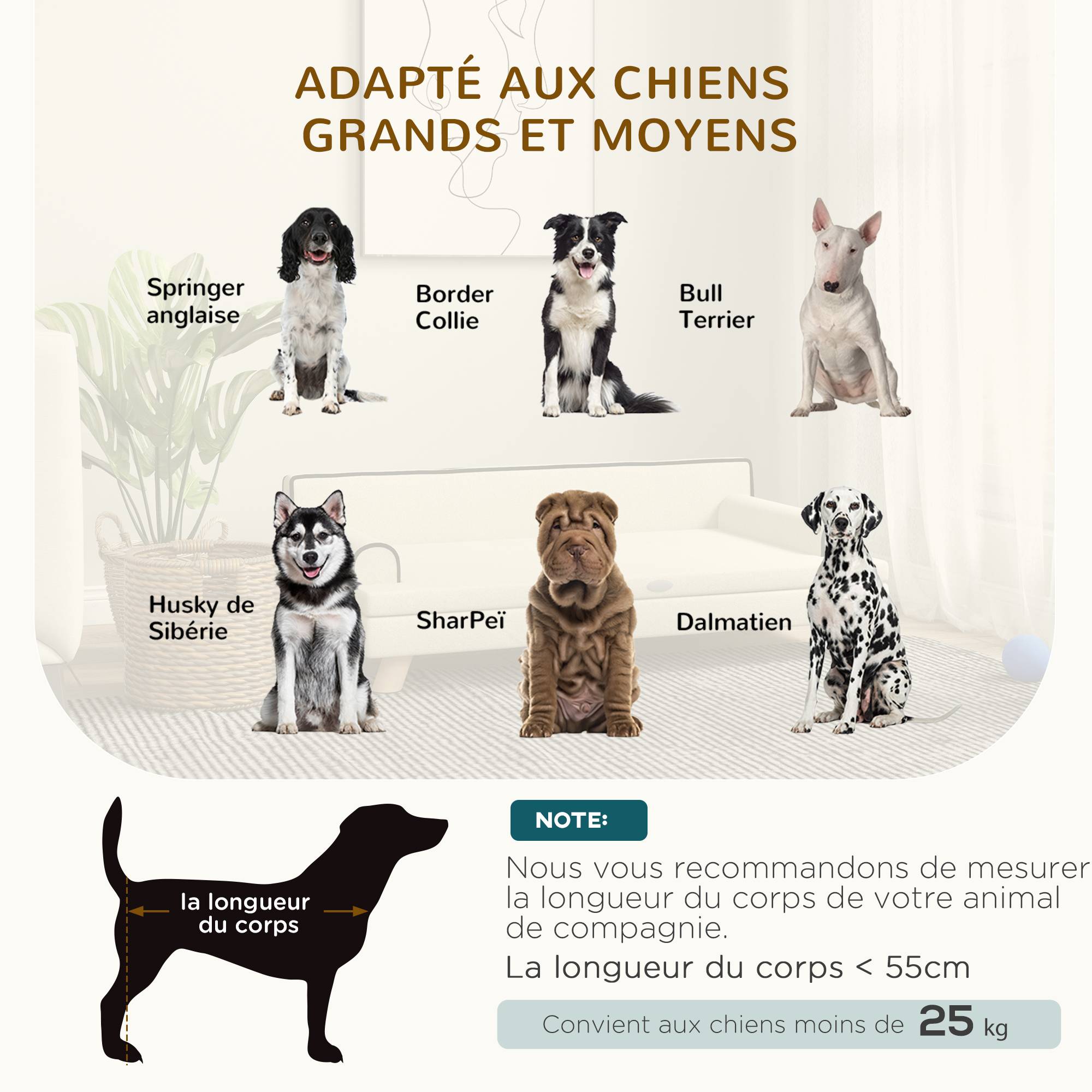 Canapé pour chien chat design scandinave coussin moelleux amovible pieds bois massif 100 x 62 x 32 cm beige - Image 6