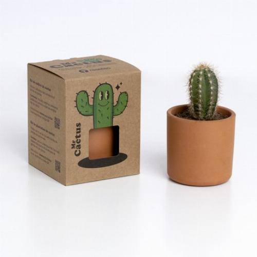 kit pot cactus - famille Cactus - Mr - Imagen 2