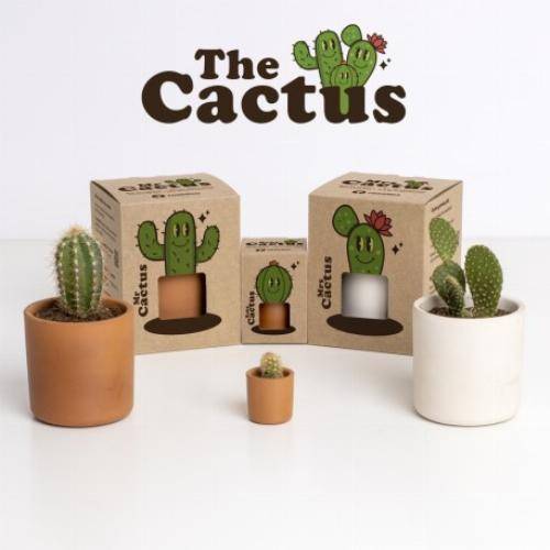 kit pot cactus - famille Cactus - Mr - Imagen 5