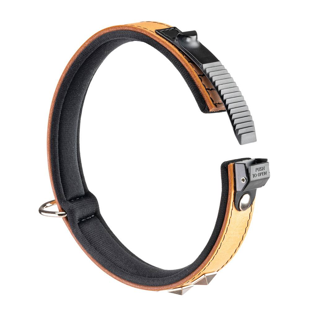 Ferplast - Collier pour Chiens GIOTTO LUXOR C20/39, en Cuir Véritable avec Clous Argentés - Imagen 4
