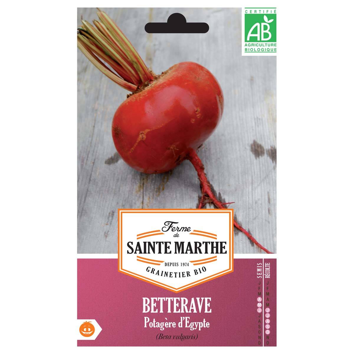 Betterave potagère d'Egypte - Bio - Ferme de Sainte Marthe le sachet de 130 graines environ (4g)