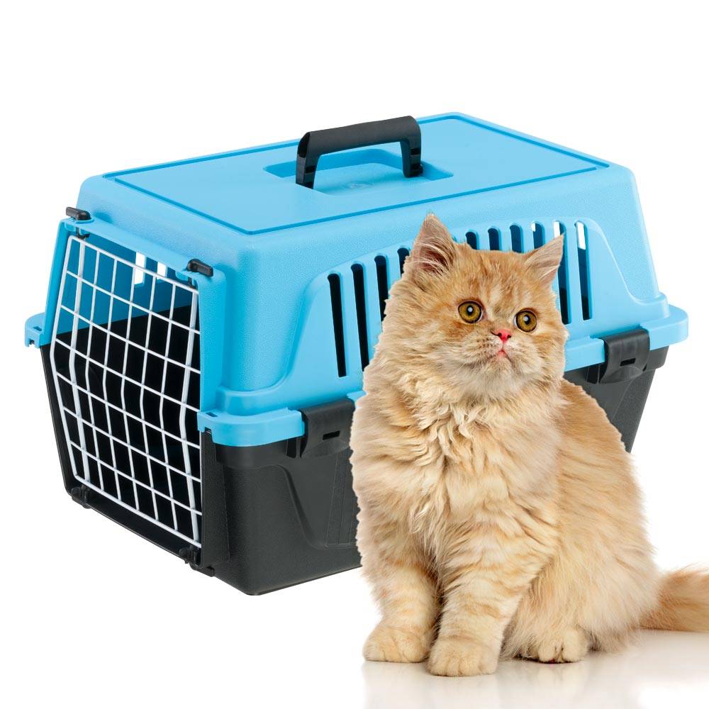 Ferplast - Ferplast Caisse de Transport Chat, Cage de Transport pour Chiens Petits et Chats jusqu'à 5 Kg, Porte en Fer Plastifié, Fentes d'aération, 32,5 x 48 x - Imagen 7