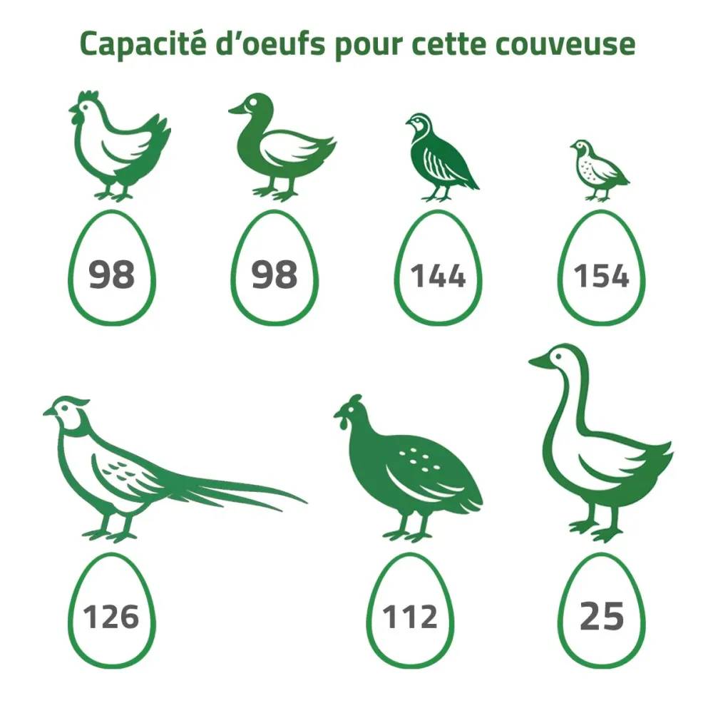 Couveuse + 2 Tiroirs de caille à poule + 1 Tiroir oeufs oie - paon - dinde MAINO - Image 10