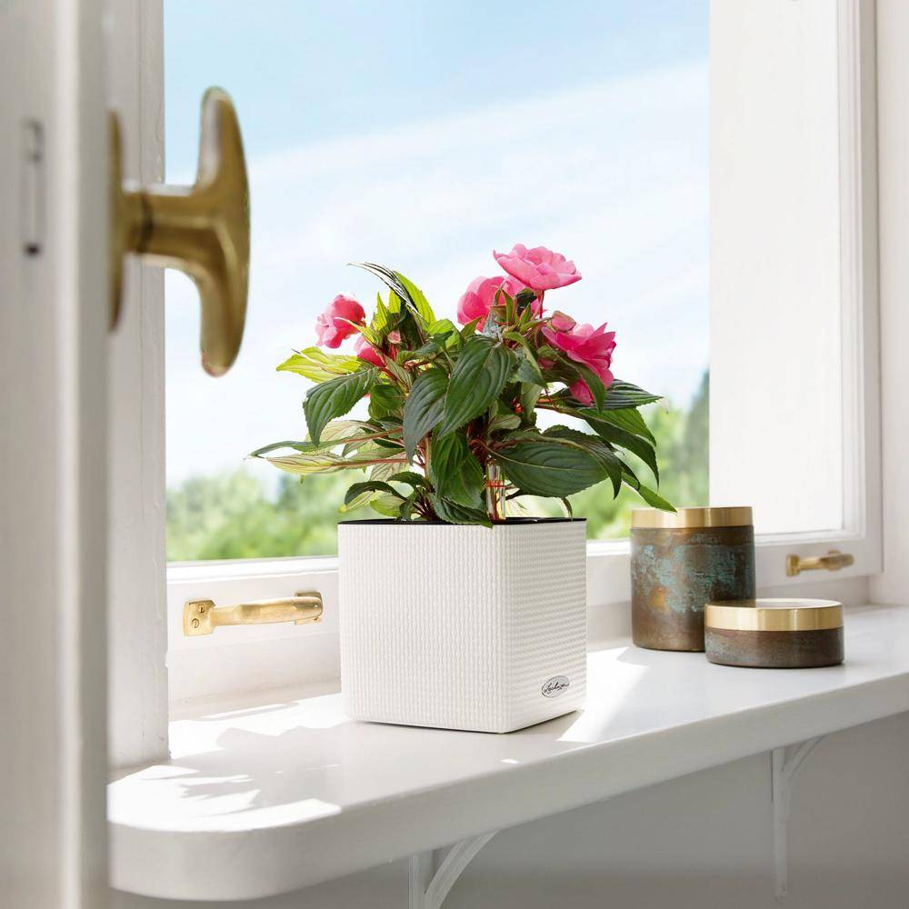 Lechuza - CUBE Color 16 - Kit Complet, blanc 16 cm Lechuza - Imagen 3