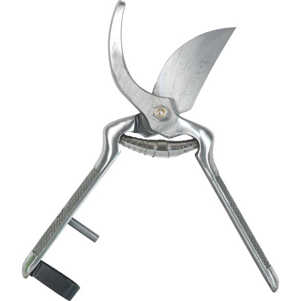 Ribimex - Sécateur forgé lames courbes 230 mm - Image 1