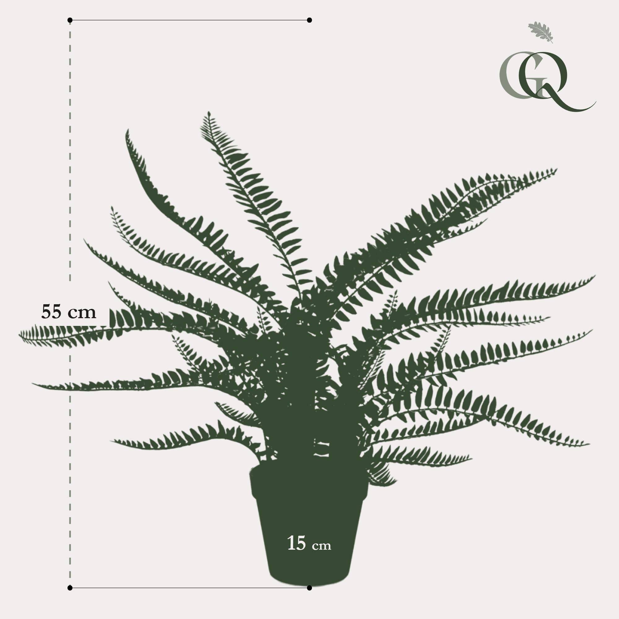 La Green Touch - Fougère de Boston plante artificielle - h55cm, Ø15cm- La Green Touch - Imagen 5