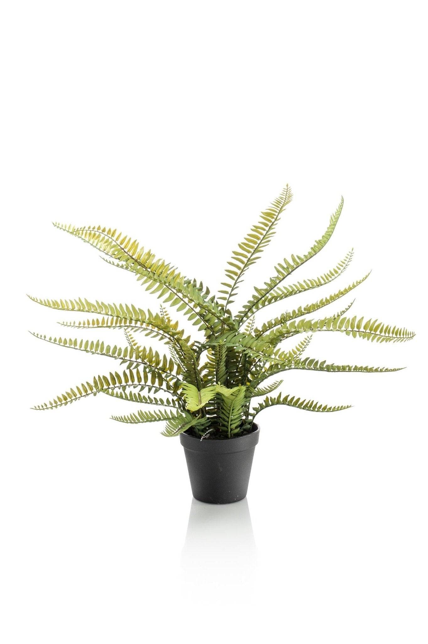 La Green Touch - Fougère de Boston plante artificielle - h55cm, Ø15cm- La Green Touch - Imagen 1
