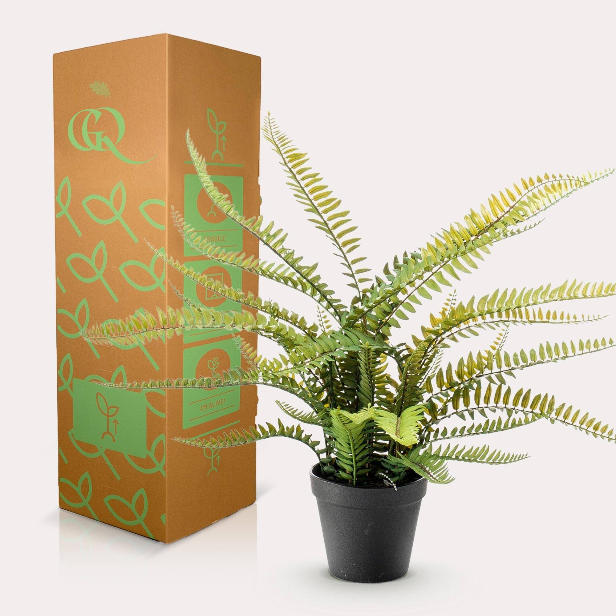 La Green Touch - Fougère de Boston plante artificielle - h55cm, Ø15cm- La Green Touch - Imagen 4