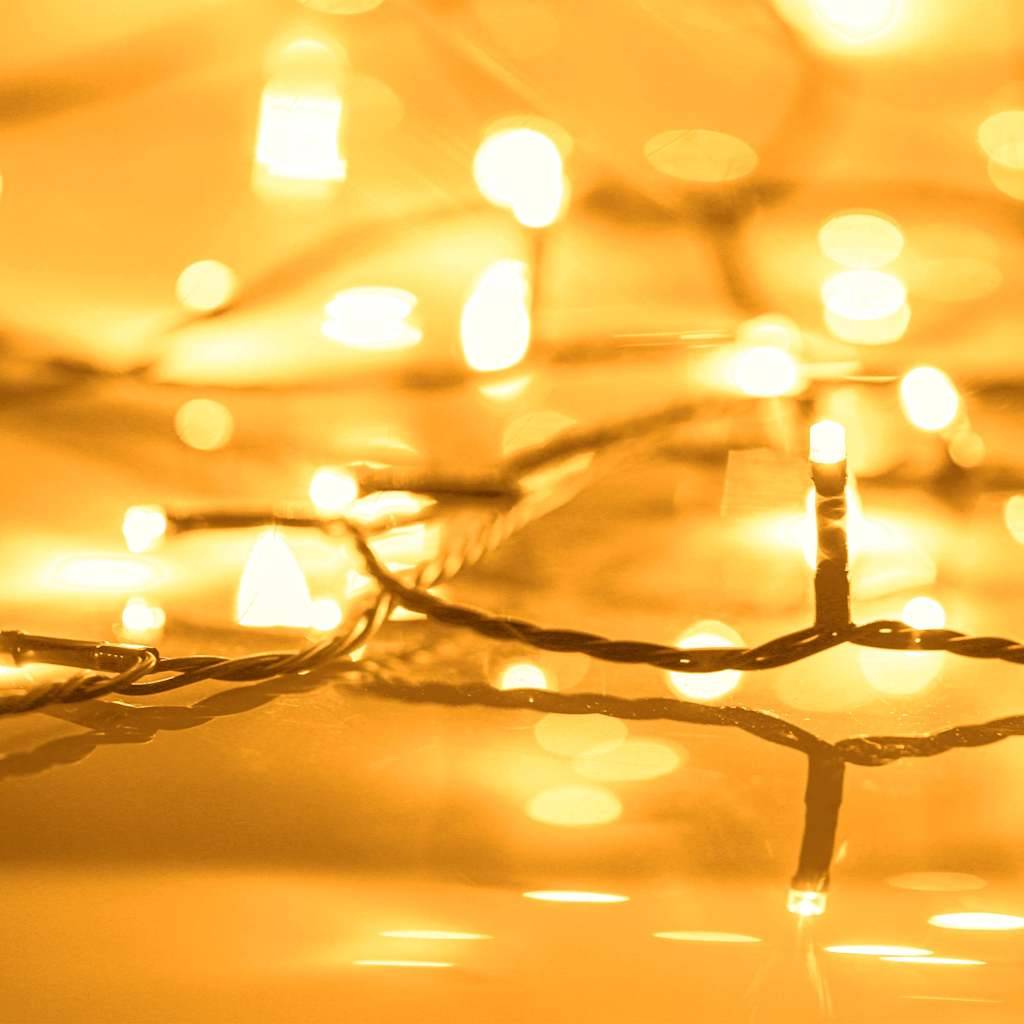 Guirlande Lumineuse XXL PVC 1000 LED 8 Effets pour Noël 100m Blanc Chaud – ComfortXL Outdoor Living - Image 2